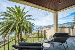 Casa da Palmeira - 8