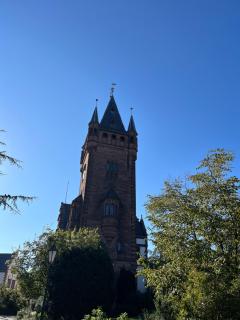 Ferienwohnung Burgenblilck - Weinheim - 7