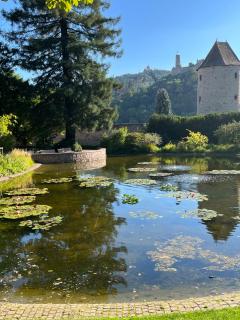 Ferienwohnung Burgenblilck - Weinheim - 9