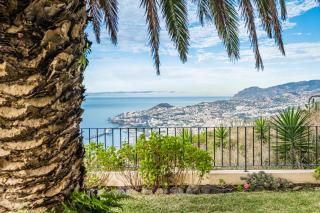 Casa da Palmeira - Funchal - 7