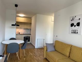 STOCKHOLM - Novi Sad - 8