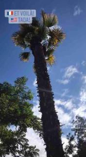 Maison du Saleys - 2