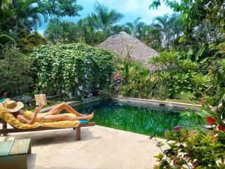 Dream Glamping Jungle Bohio - Las Terrenas - 2