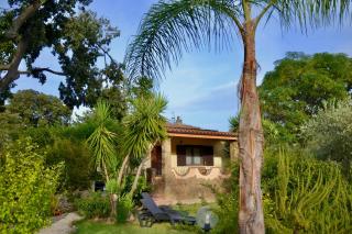 Villa Pelau - Holiday Home - Jerzu - 0