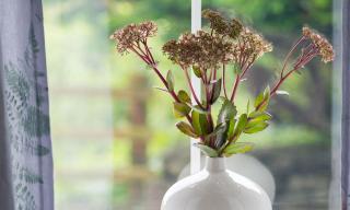 Pen Y Parc Rhosneigr - 2