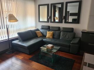 Warta LUX Apartment, self check-in 24h, free parking - Poznan - 0