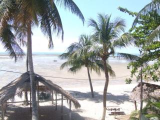 Beach house on a heavenly island - Moreré - 1