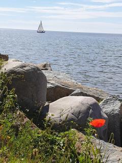 Ferienwohnung Zum Strandvoigt - Sassnitz - 1