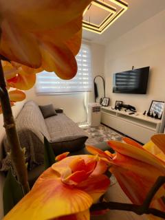Apartamento Mobiliado Região do Brás Coronel Mursa - São Paulo - 2
