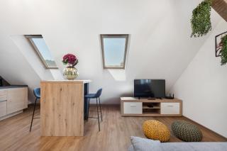 SMART APARTMENT LJUBLJANA - Spodnja Šiška - 3