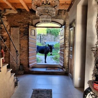 Domaine COLONNA SANTINI ,Chambre d hôtes Piscine, sauna, spa - Porri - 8