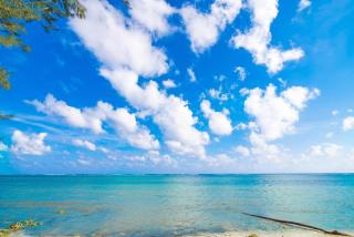 Cayman Paradise Villa #1 - Sand Bluff - 3