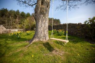 East Ayrlow Banks - East Hauxwell - 1