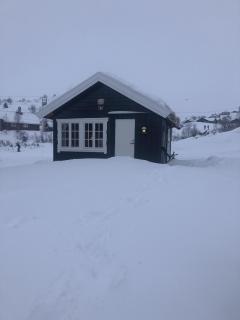 Osetunet, small and charming cabin at Ustaoset - Ustaoset - 6