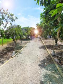 Colina del Sol Hotel Hacienda - 2