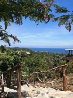 HOTEL AVE FENIX - Mazunte - 0