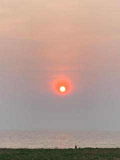 DOUCEURS DES ILES - Fréjus - 8