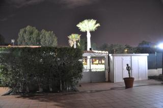 Serenity Garden - Maspalomas - 8