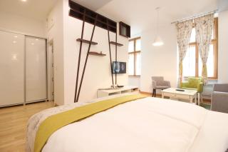 City Studio Apartment - Sarajevo - 1