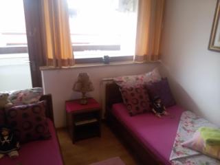 Hostel Pansion Lion - Sarajevo - 7