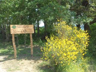 L'Isola Che Non C'era - Apiro - 4
