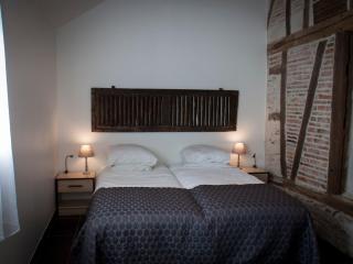 Gîte spacieux avec piscine chauffée, wifi et tennis au bord de la Loire - FR-1-590-97 - Sigloy - 2