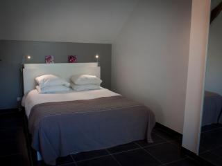 Gîte spacieux avec piscine chauffée, wifi et tennis au bord de la Loire - FR-1-590-97 - Sigloy - 1