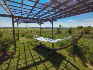 Gîte charmant avec vue sur vignes, 4 chambres, terrasse et jardin - FR-1-622-57 - Saint-Aubin-de-Luigné - 5