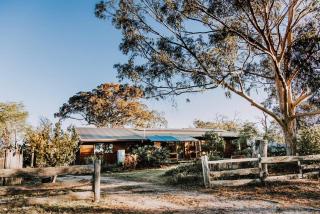 Budgee Budgee Farm - 33 Acres of Pure Bliss - Mudgee - 8