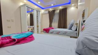 شقق مفروشه تشطيب مودرن علي النيل - 8