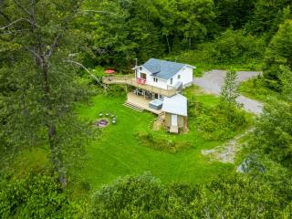 Le chaga (#CITQ 297627) - Sainte Brigitte de Laval - 1