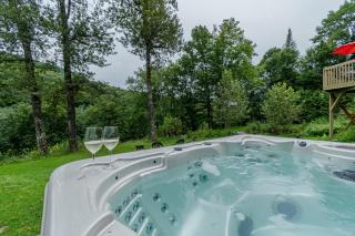 Le chaga (#CITQ 297627) - 9