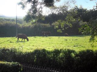 White Cottage - Hemingby - 4