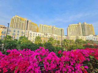 Căn hộ sườn đồi Nam Đảo Phú Quốc view Thành phố - 1