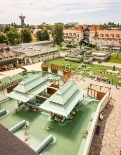 Thermal Hotel Mosonmagyarovar - 8