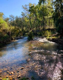 Warrumbungles Mountain Motel - Coonabarabran - 3