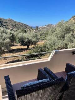 Meer an Oliven - Agia Galini - 8
