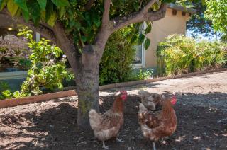 Villa Bruffalori - 1