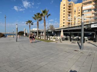 Big one bedroom apartment next to beach. - 7
