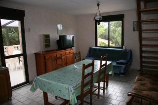 la mer et le soleil - 0