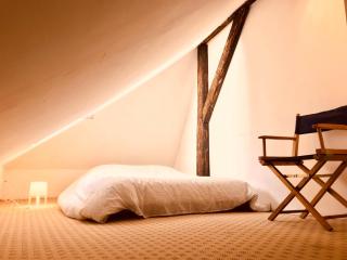 Attic Duplex in the Heart of Strasbourg - 4