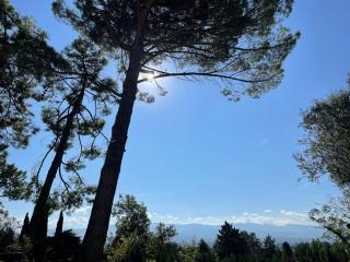 La Sauveterre - Mours-Saint-Eusèbe - 9