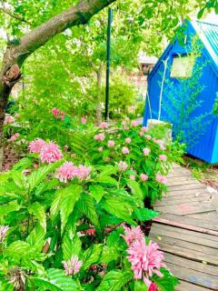 Homestay Bản Búa - 1
