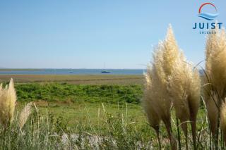 Haus Billstrasse 232 - Wohnung 2 - 9