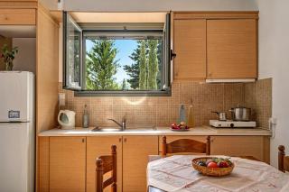 Alkionides Apartment 1 - Agios Nikitas - 5