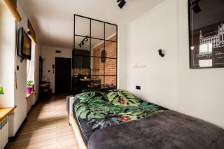 Apartament Ducha N°9 - Toruń - 0