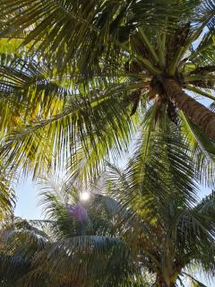 BauHouse Comfort Suites Asuncion - 2