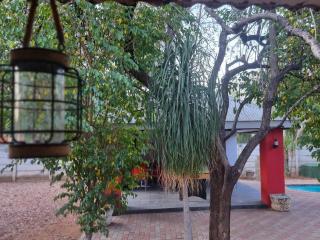 Fire and Ice Guesthouse Lephalale - Lephalale - 2