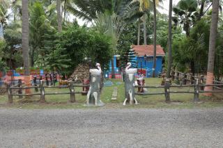 Kuttralam Resorts - 6