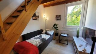 Berg-Büdchen - schnuckelige Maisonette-FeWo - gemütlich und günstig - Sankt Andreasberg - 1